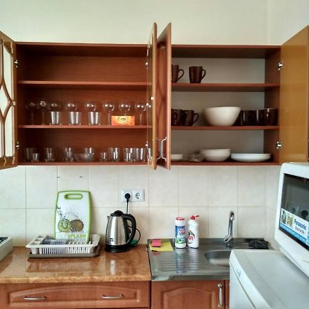 Apartments Domovik Просторная Квартира С Видом На Горы Mukácheve Exterior foto