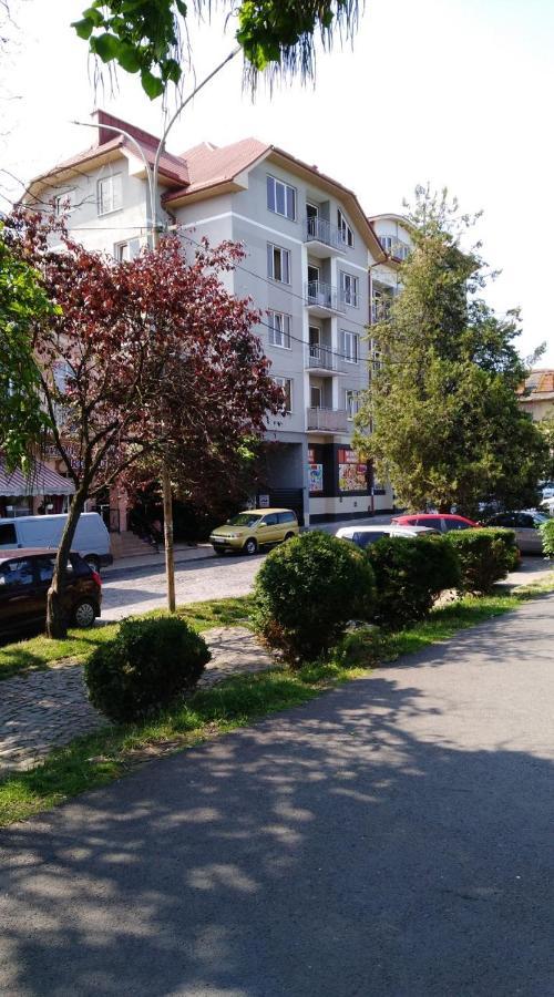 Apartments Domovik Просторная Квартира С Видом На Горы Mukácheve Exterior foto