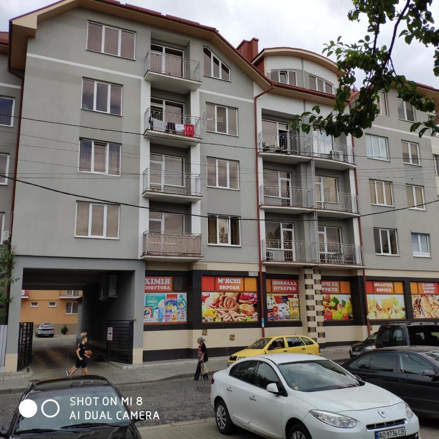 Apartments Domovik Просторная Квартира С Видом На Горы Mukácheve Exterior foto